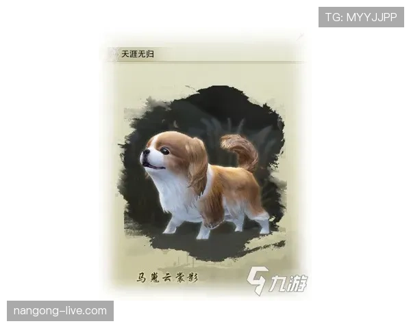 技术犯规的判定标准和常见触发场景解析 技术犯规的判定标准和常见触发场景解析